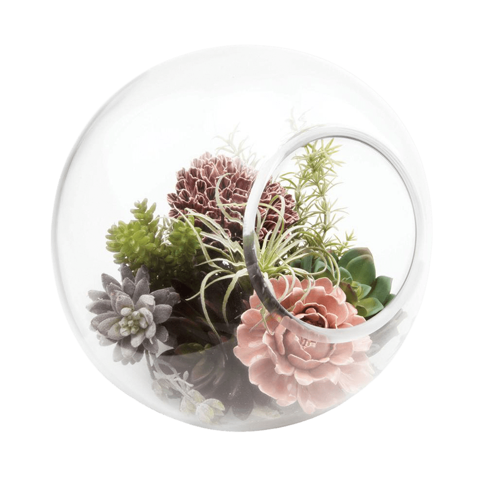 Bolsk Glass Large Hanging Terrarium - Chive US Wholesale