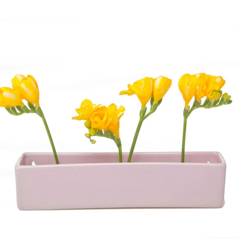 Wall Brick Planter 24pc Kit - Packers Choice - Chive US Wholesale