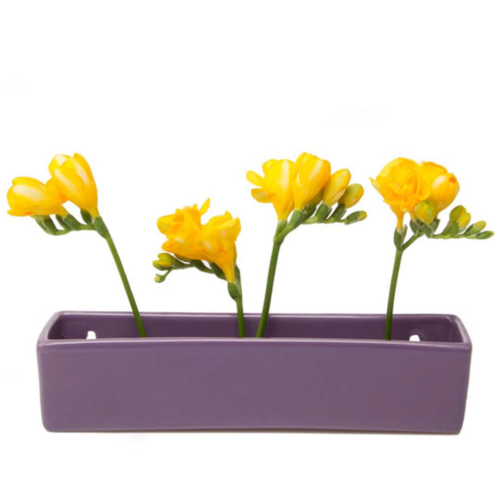 Wall Brick Planter 24pc Kit - Packers Choice - Chive US Wholesale