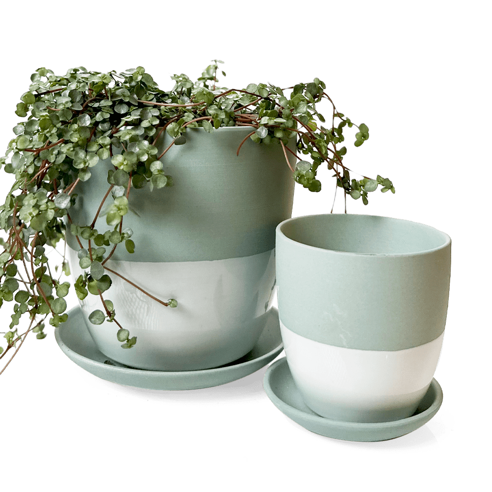 Dyad Porcelain Modern Indoor Plant Pot With Saucer - Chive US Wholesale
