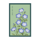 Baby Blue Eyes Flower Seeds Packet - Chive US Wholesale