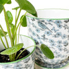 Liberte 5 Porcelain Pot And Saucer Kit With Drainage