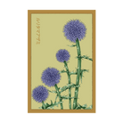Blue Globe Thistle Flower Seeds Packet - Chive US Wholesale