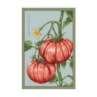 Brandyman Hybrid Tomato Vegetable Seeds Packet - Chive US Wholesale