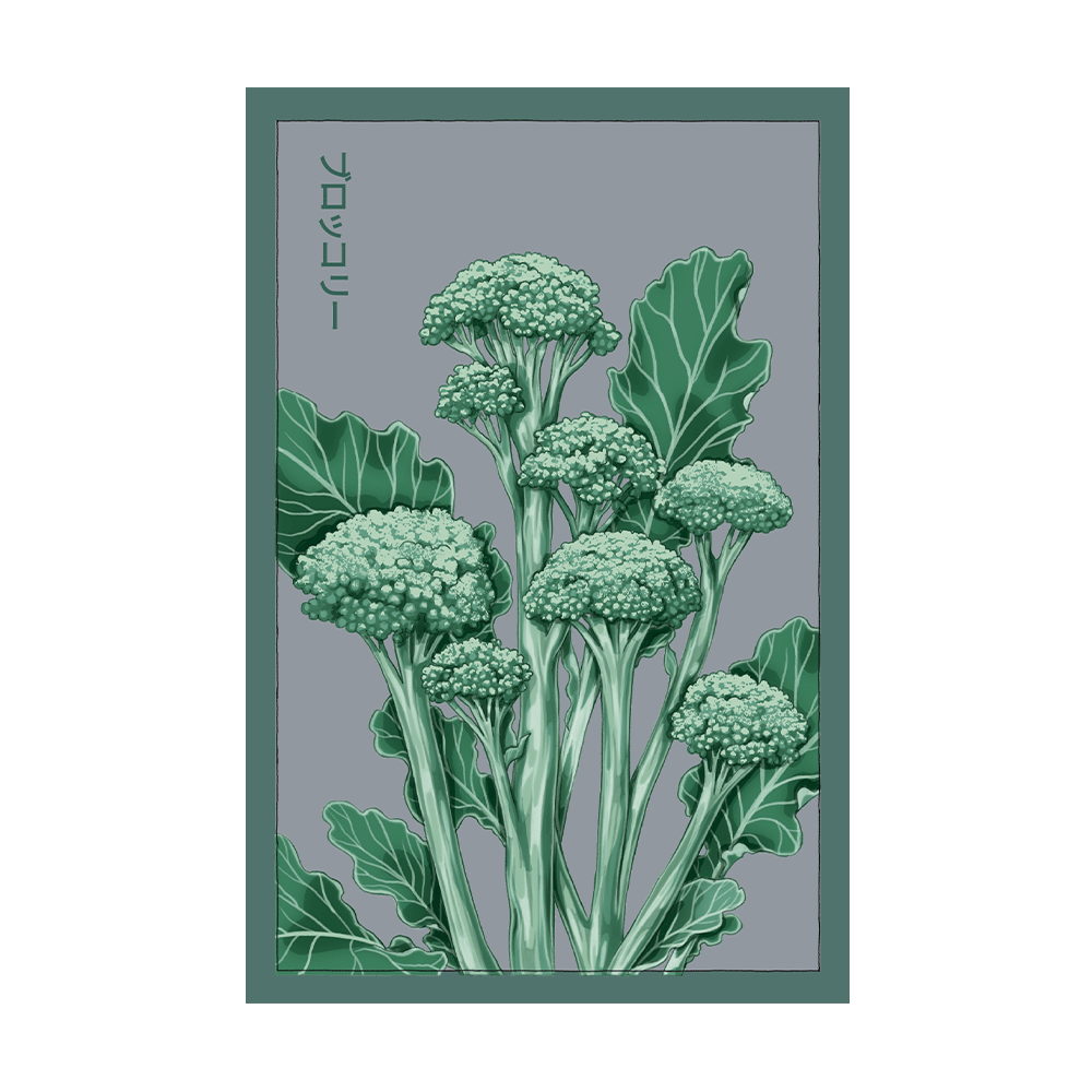 Broccolini Vegetable Seeds Packet - Chive US Wholesale