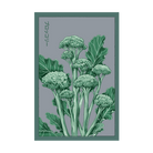 Broccolini Vegetable Seeds Packet - Chive US Wholesale