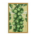 Brussel Sprouts Vegetable Seeds Packet - Chive US Wholesale