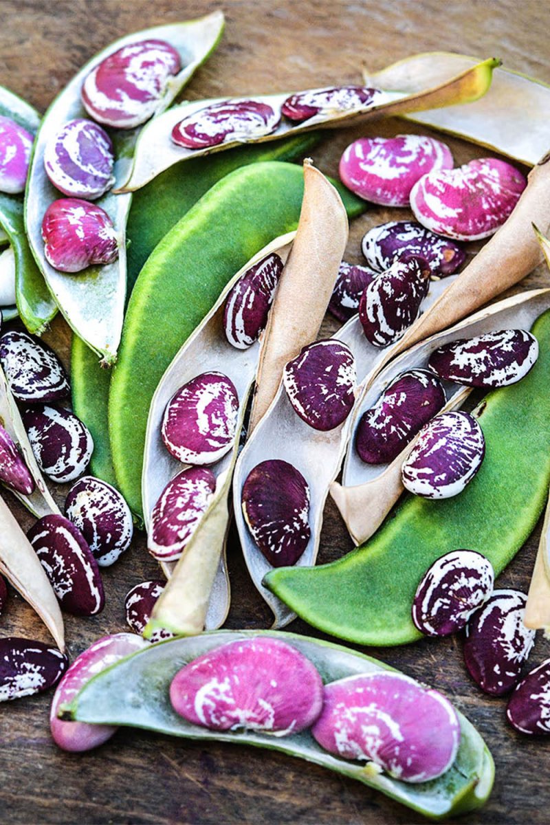 Christmas Pole Butterbean Vegetable Seeds Packet - Chive US Wholesale