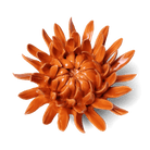 Ceramic Flower Mum Orange 11 - Chive US Wholesale