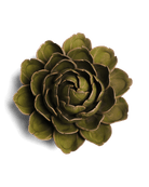 Ceramic Flower Mofo Green 11 - Chive US Wholesale
