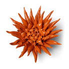 Ceramic Flower Large Orange 12 - Chive US Wholesale