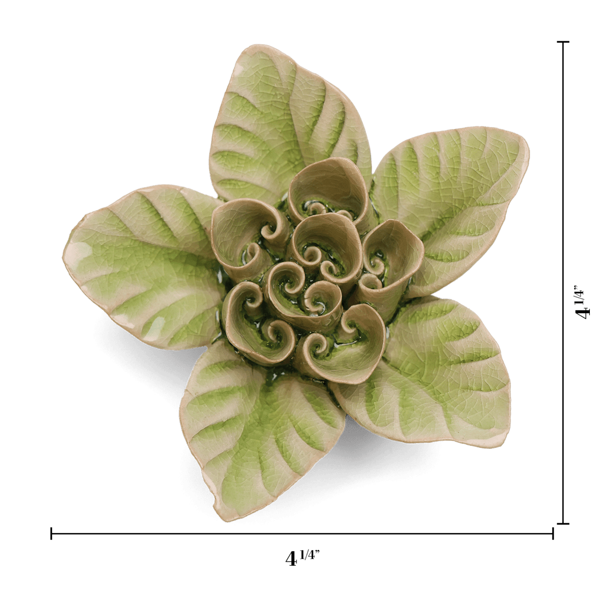 EG18 Peridot Green Maiden Lotus - Chive US Wholesale