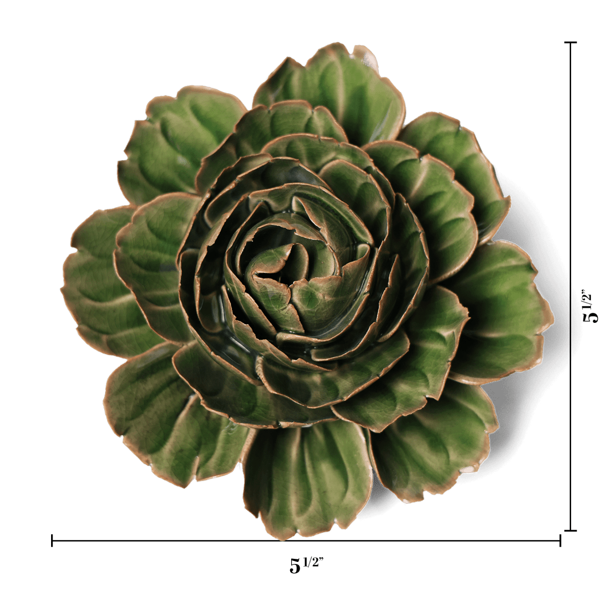 EG05 Avocado Green Rozella Peony - Chive US Wholesale