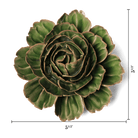 EG05 Avocado Green Rozella Peony - Chive US Wholesale