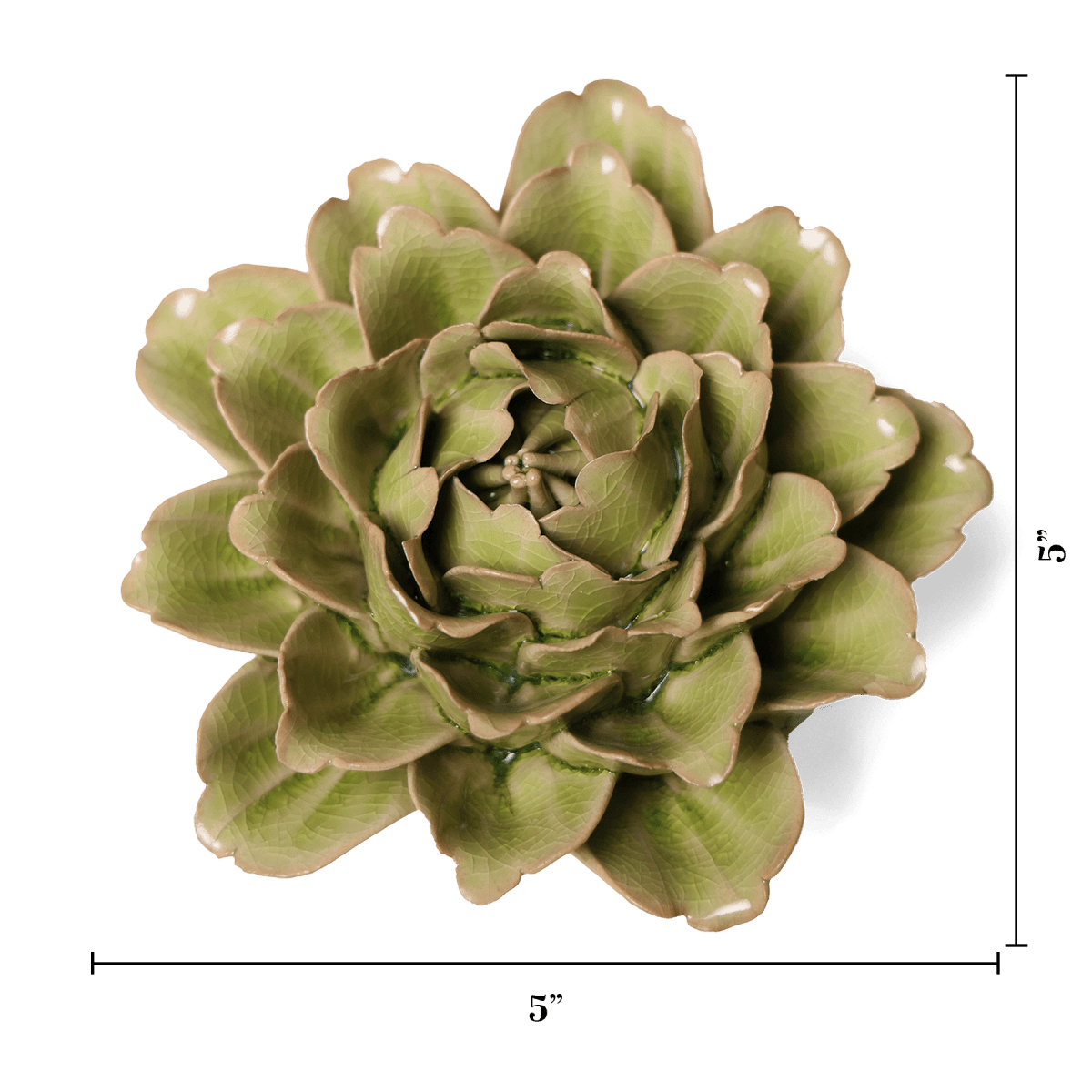 EG06 Peridot Comanche Peony - Chive US Wholesale