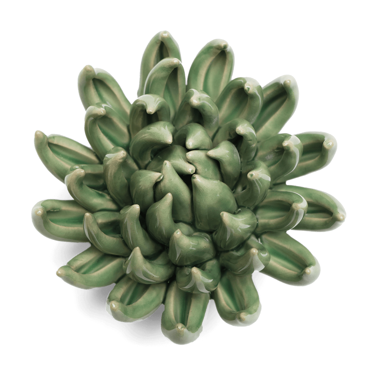 EG14 Jade Green Succulent - Chive US Wholesale