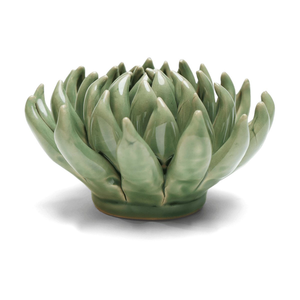 EG14 Jade Green Succulent - Chive US Wholesale