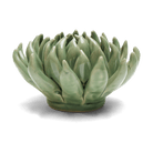 EG14 Jade Green Succulent - Chive US Wholesale