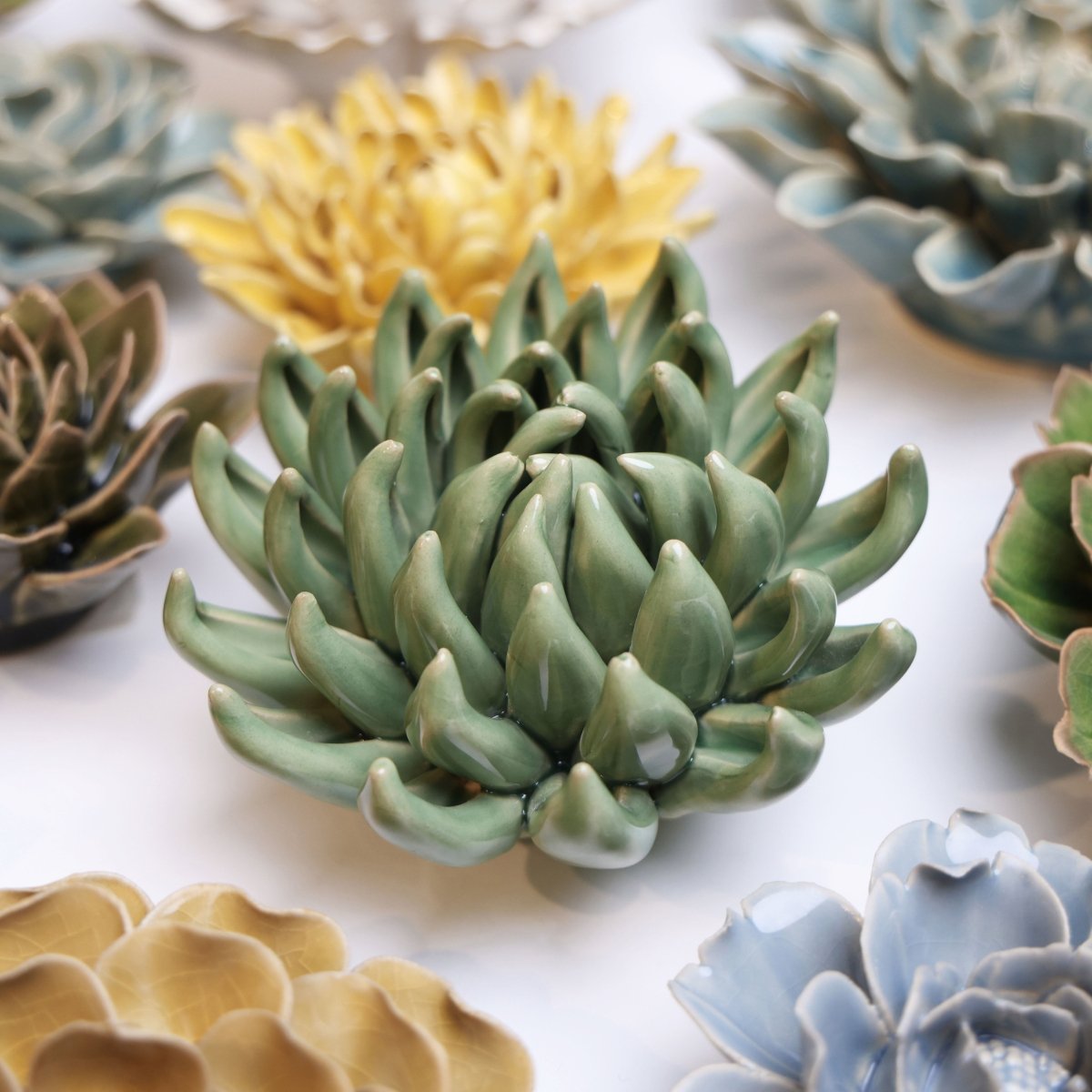EG14 Jade Green Succulent - Chive US Wholesale