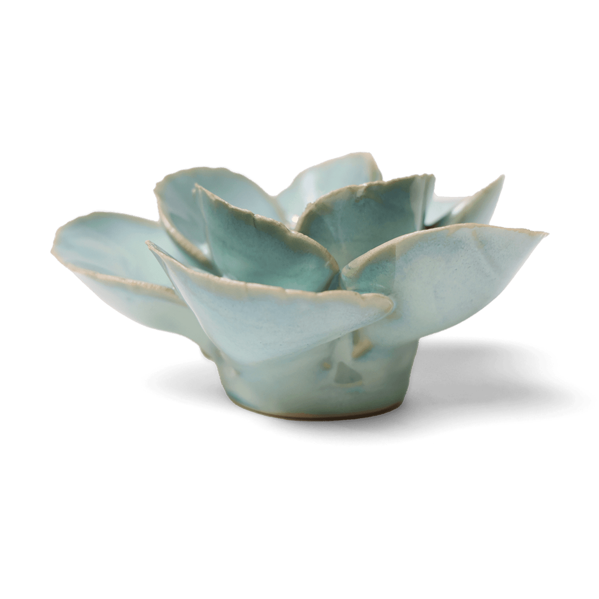 EG19 Milk Teal Poppy - Chive US Wholesale
