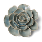 EG04 Powder Blue Amandine Ranunculus - Chive US Wholesale