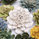 EG15 Ivory European Water Lily - Chive US Wholesale