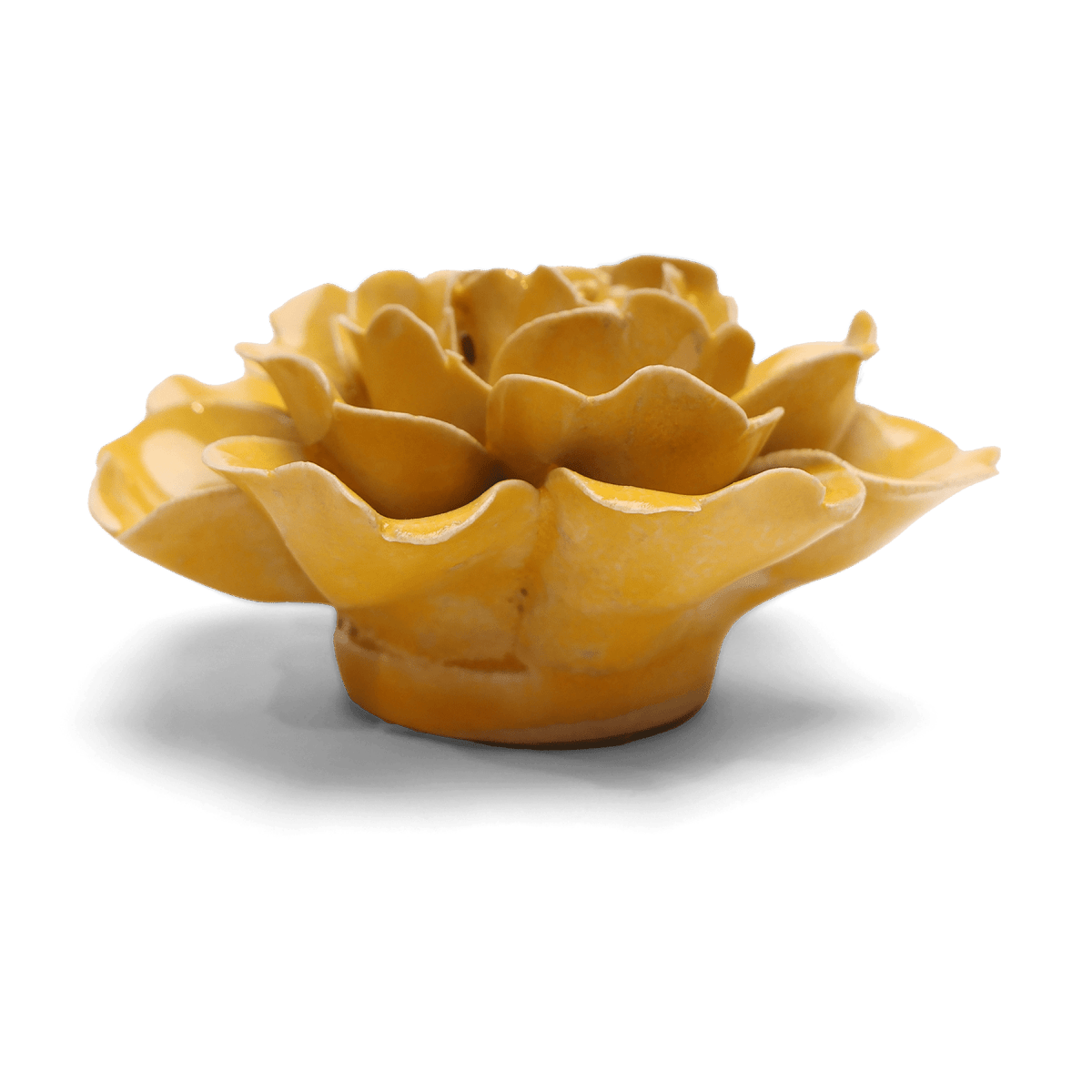 EG07 Burnt Yellow Rose - Chive US Wholesale