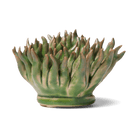 Ceramic Flower Mondo Green 4 - Chive US Wholesale