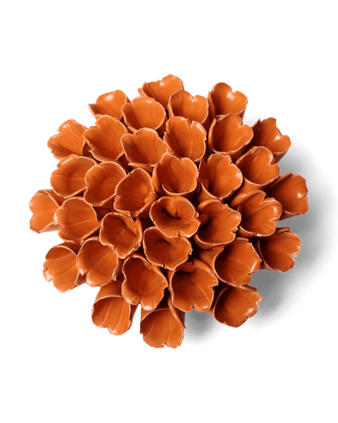 C5F230-W-1_1_grande.png?v=