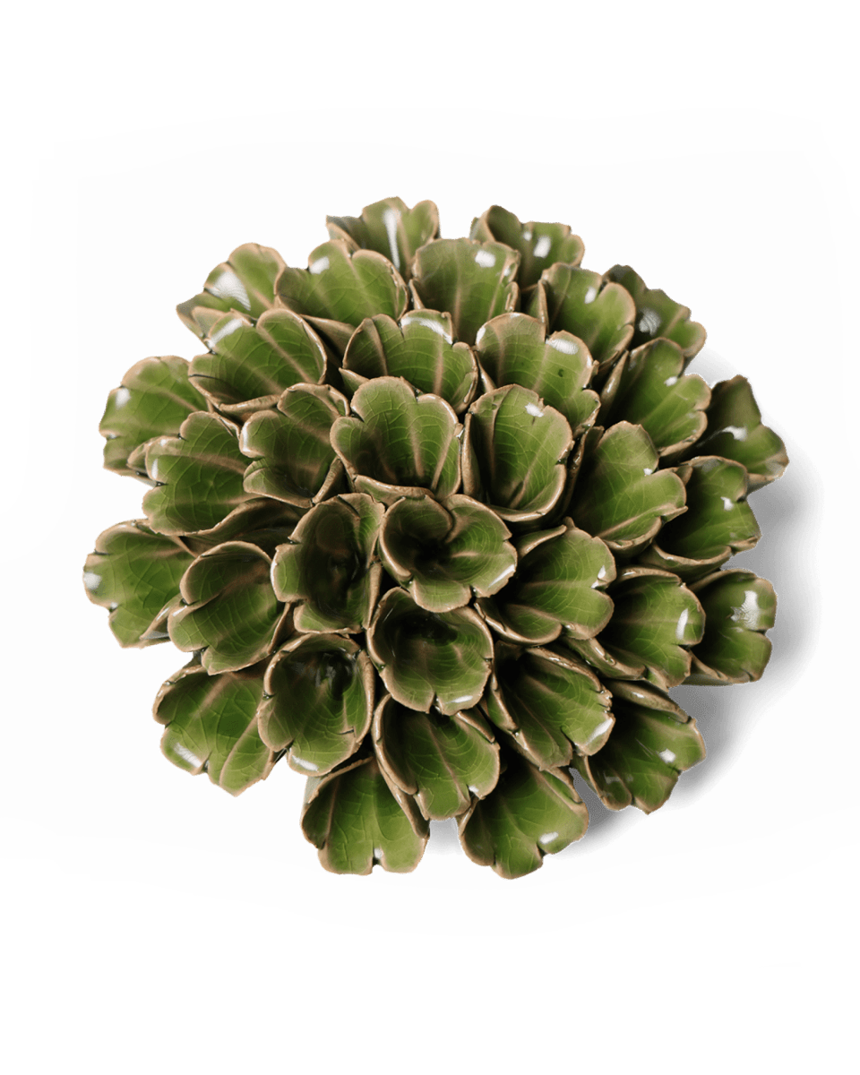 Ceramic Flower Polyp Green Large - Chive US Wholesale