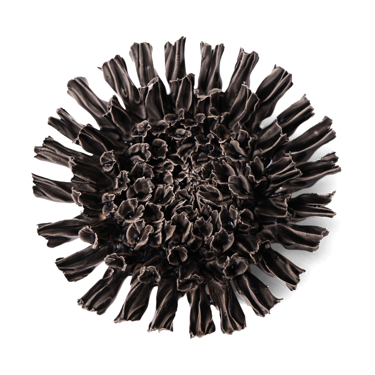 Ceramic Flower Fractal Black 5 - Chive US Wholesale