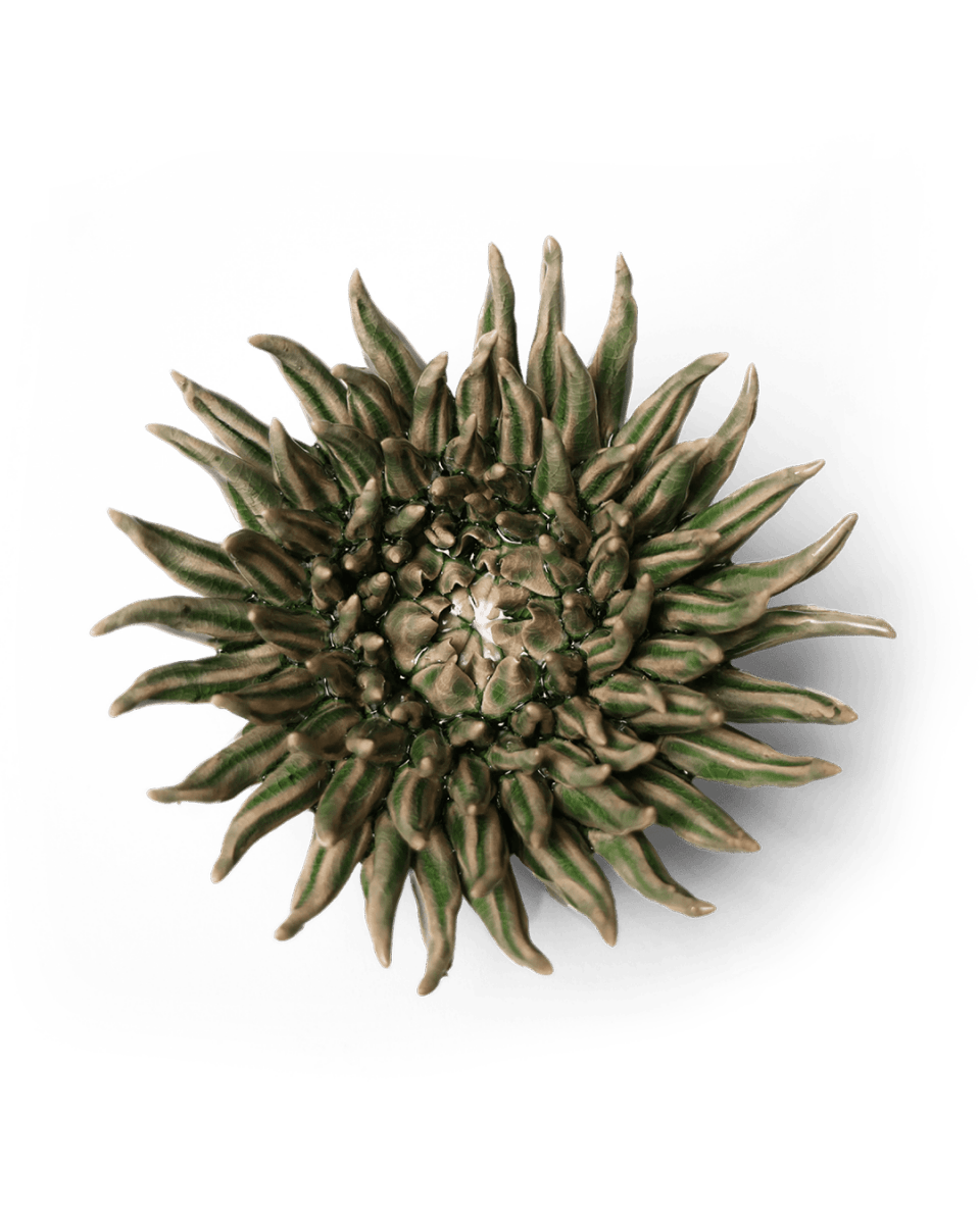Ceramic Flower Mum Olive 5 - Chive US Wholesale