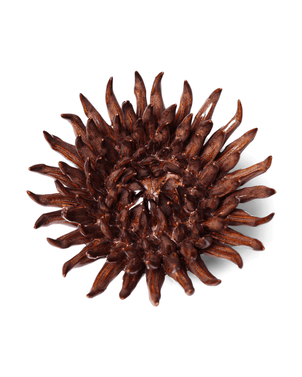 Ceramic Flower Mum Chocolate 5 - Chive US Wholesale