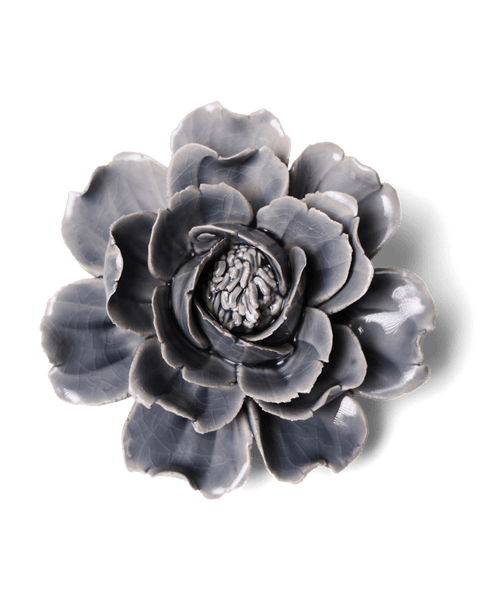 C6C885-W-1_6f682d46-8237-4910-