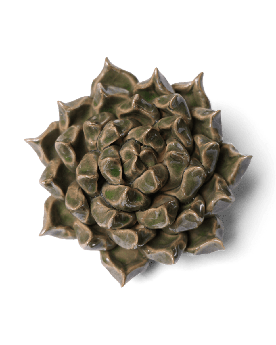 Ceramic Flower Succulent Green 6 - Chive US Wholesale