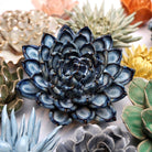 Ceramic Flower Succulent Blue 6 - Chive US Wholesale