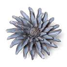JA14 Blue Grey Gerbera Daisy - Chive US Wholesale