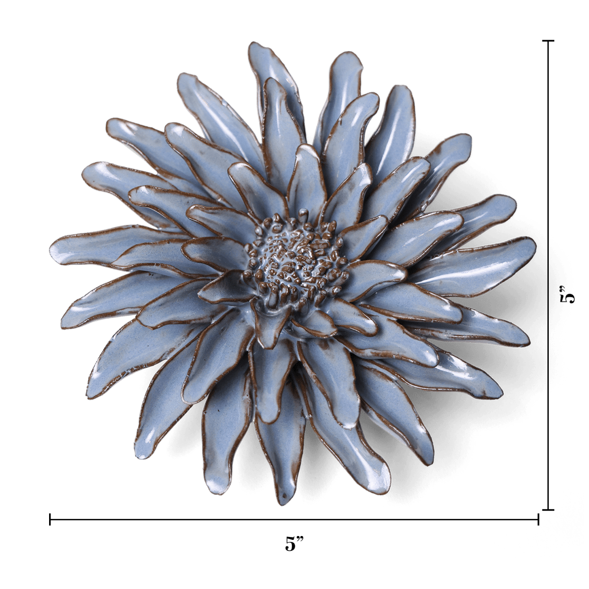 JA14 Blue Grey Gerbera Daisy - Chive US Wholesale