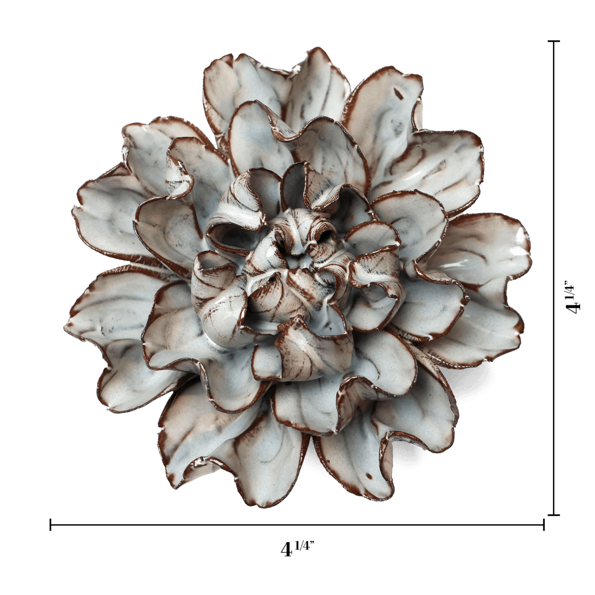 JA15 Chocolate Mint Echo Lisianthus - Chive US Wholesale