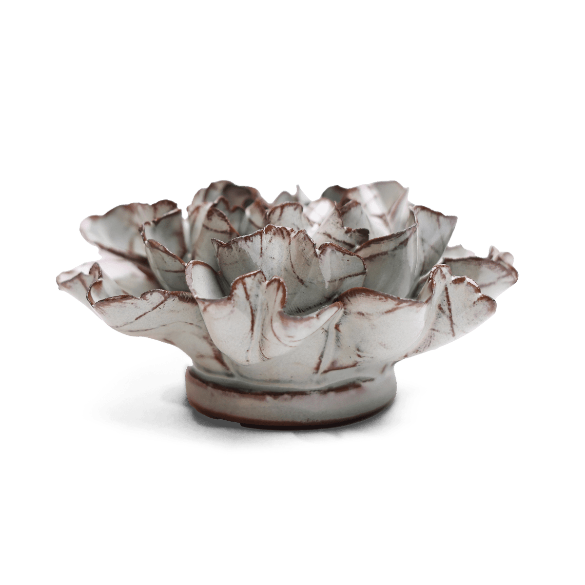 JA15 Chocolate Mint Echo Lisianthus - Chive US Wholesale