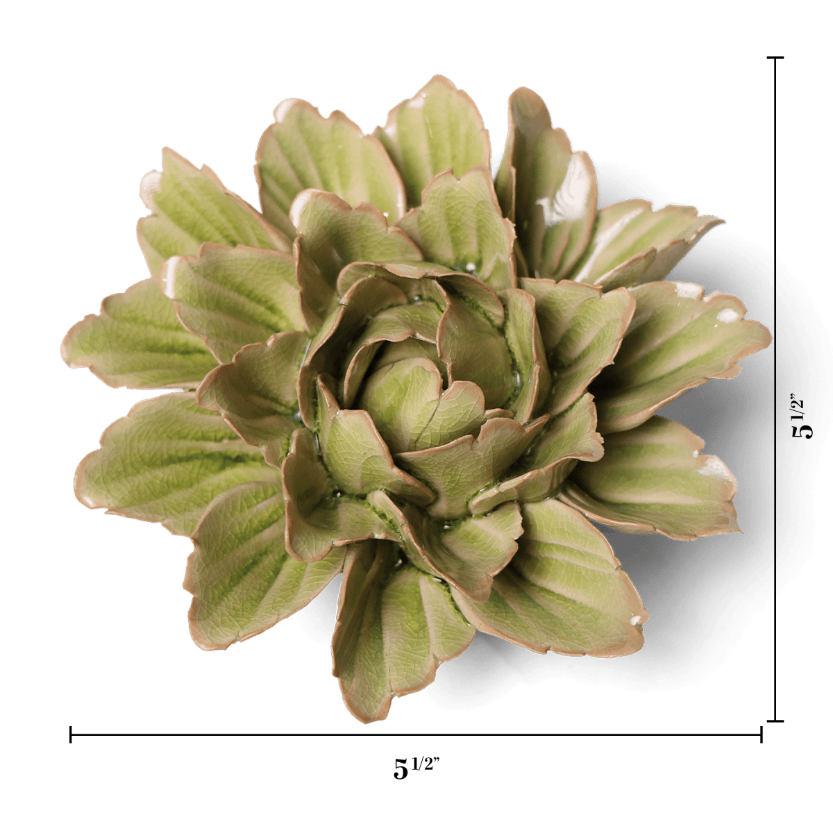 JA11 Peridot Sorbet Peony - Chive US Wholesale