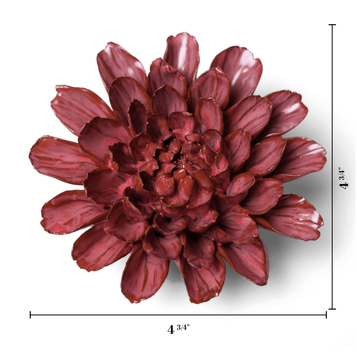 JA17 Blush Pink Star Dahlia - Chive US Wholesale