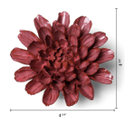 JA17 Blush Pink Star Dahlia - Chive US Wholesale