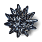 JA16 Navy Blue Chalksticks Succulent - Chive US Wholesale