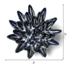 JA16 Navy Blue Chalksticks Succulent - Chive US Wholesale