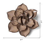 JA18 Latte Daffodil - Chive US Wholesale