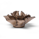 JA18 Latte Daffodil - Chive US Wholesale