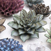 Ceramic Flower Wall Art Flower Dusk Blue 8