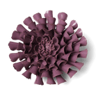 JA02 Violet Blue Cornel Dahlia - Chive US Wholesale