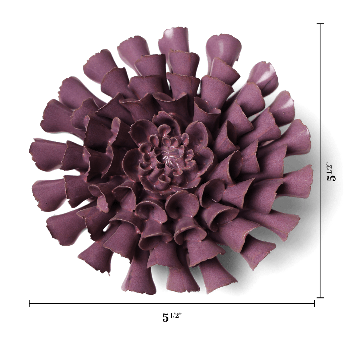 JA02 Violet Blue Cornel Dahlia - Chive US Wholesale